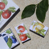 3 Fruit Scented Soaps - Gift Boxed - Distinctly Living