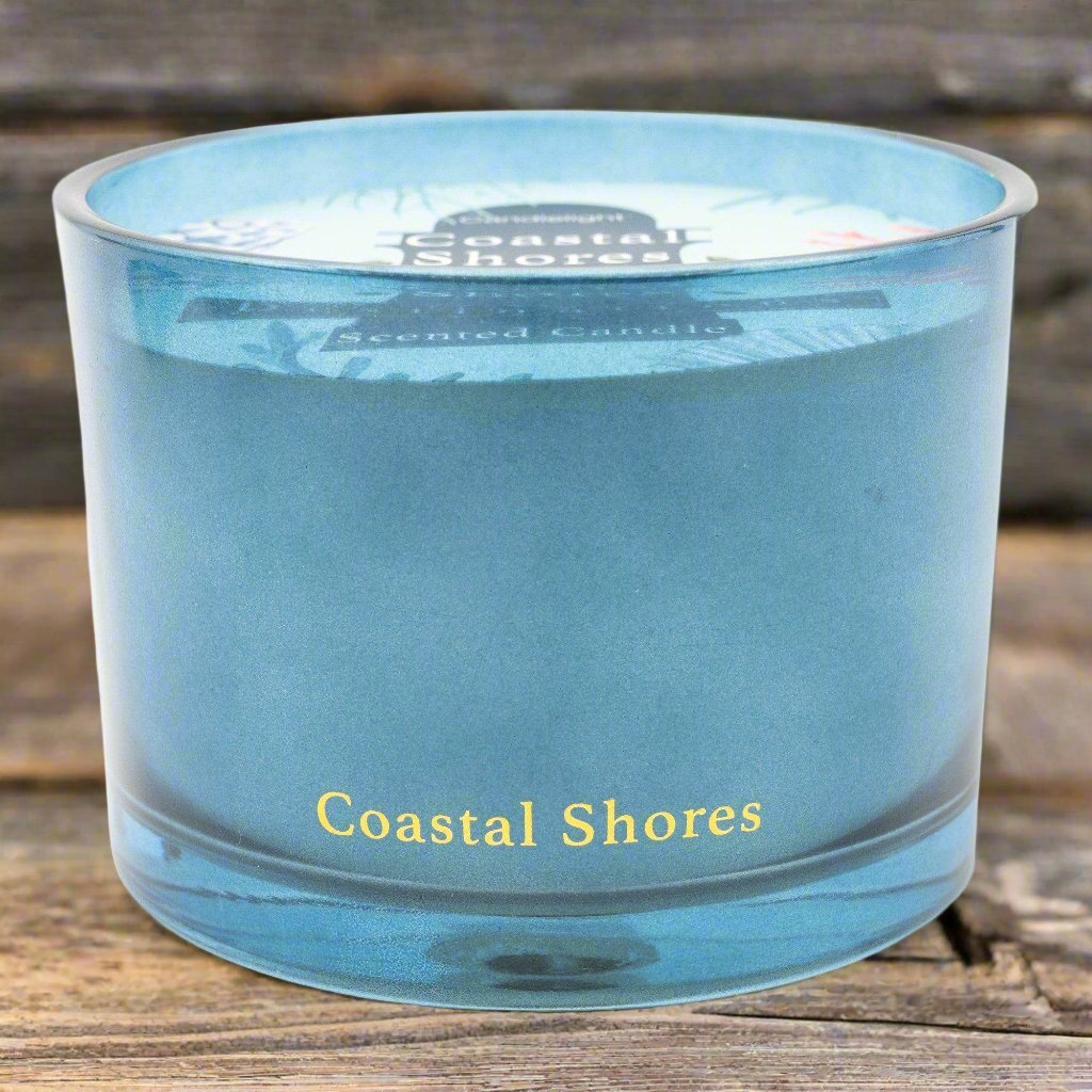 Coastal Shores Two Wick Candle with Seasalt Scent - Distinctly Living