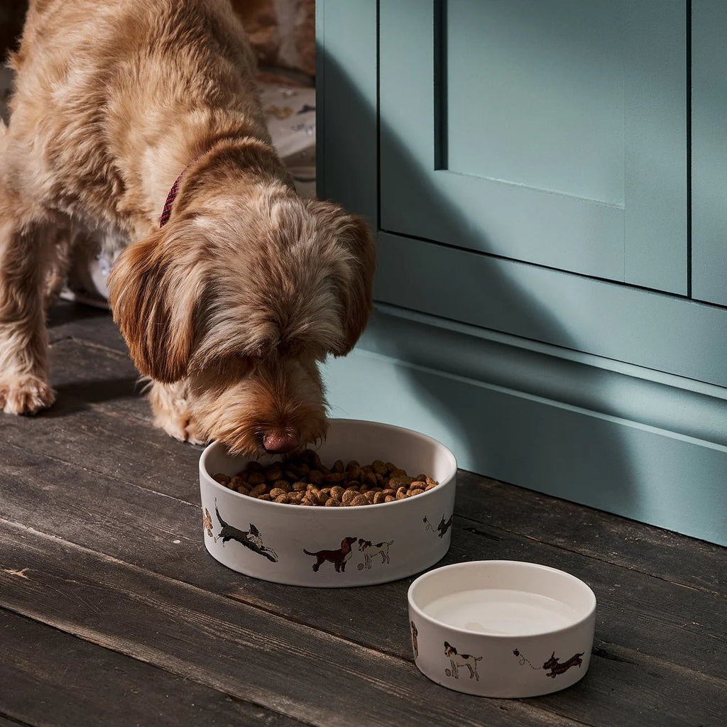 Dog Bowl - Large or Small - Distinctly Living