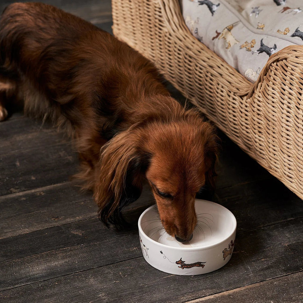 Dog Bowl - Large or Small - Distinctly Living