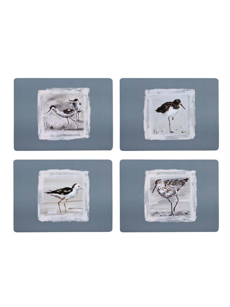 Painted Bird Placemats - Set of 4 - Distinctly Living