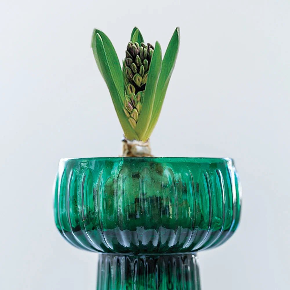 Ribbed Hyacinth Vase - Green - Distinctly Living