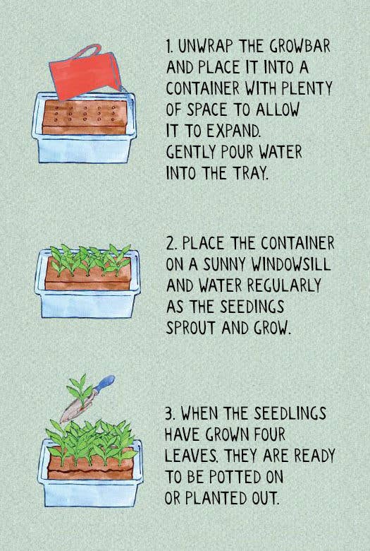 The Edible Flower Growbar - Distinctly Living