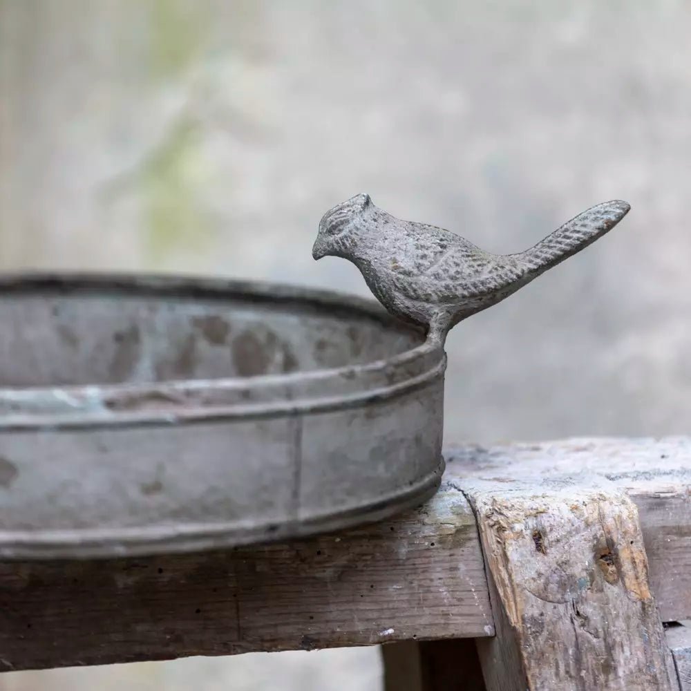 Vintage Style Bird Bath - Distinctly Living