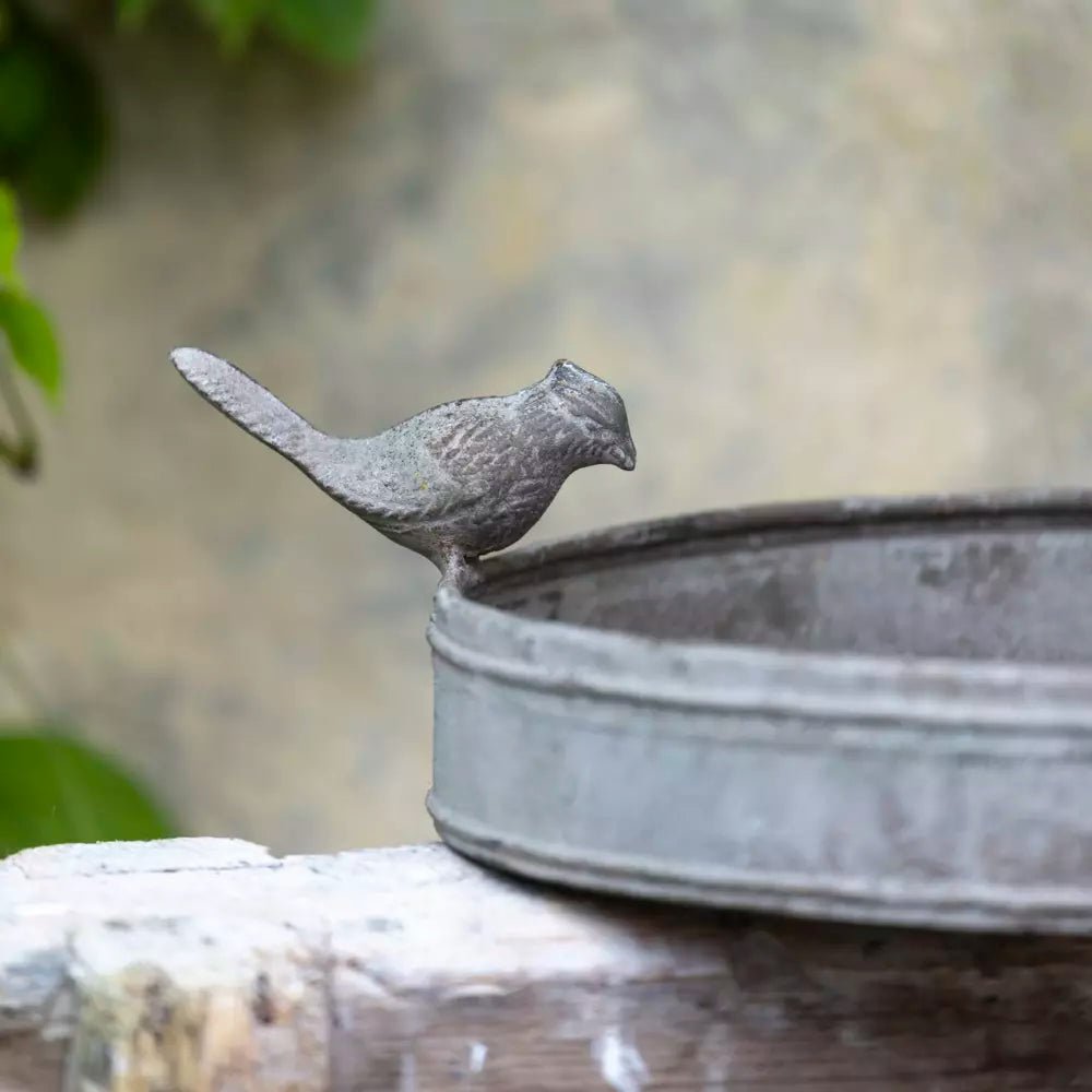 Vintage Style Bird Bath - Distinctly Living