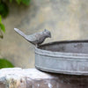 Vintage Style Bird Bath - Distinctly Living