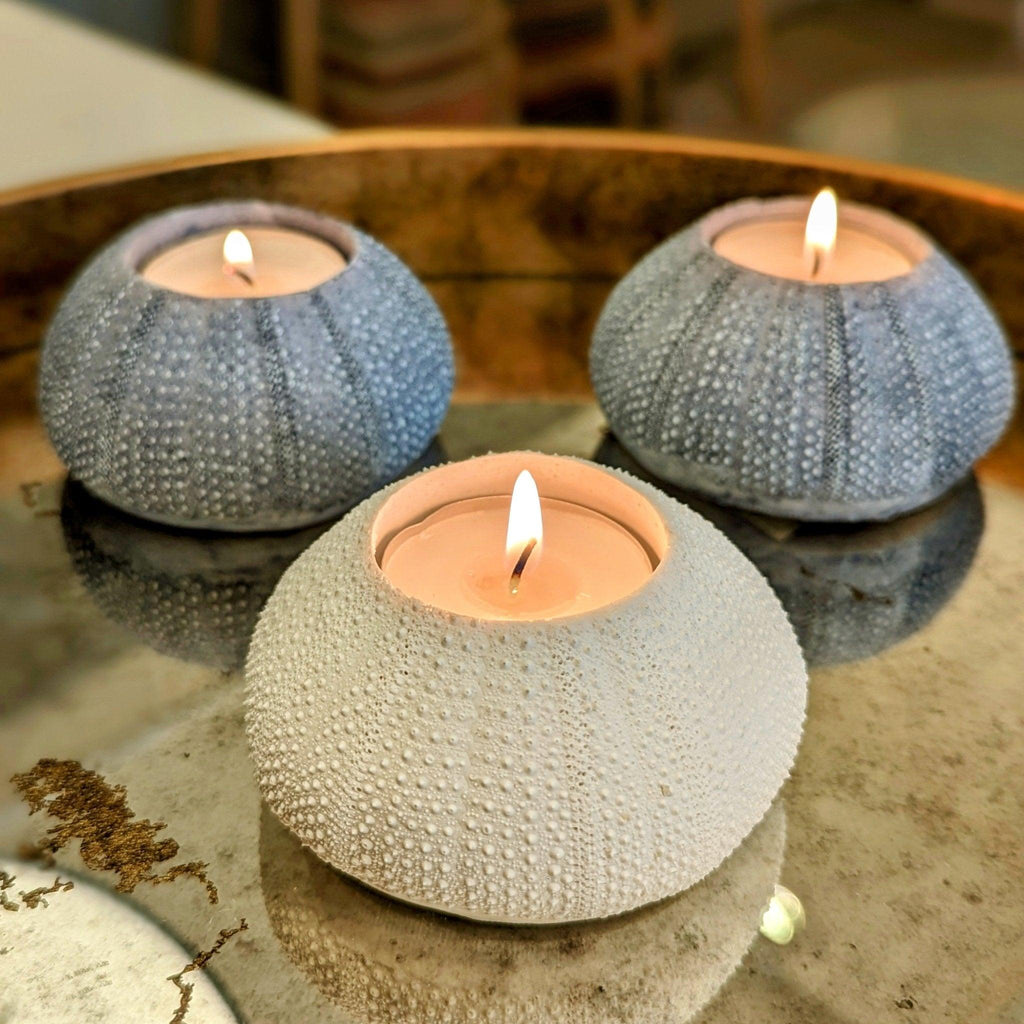 Blue Sea Urchin Candle Holder - Distinctly Living 