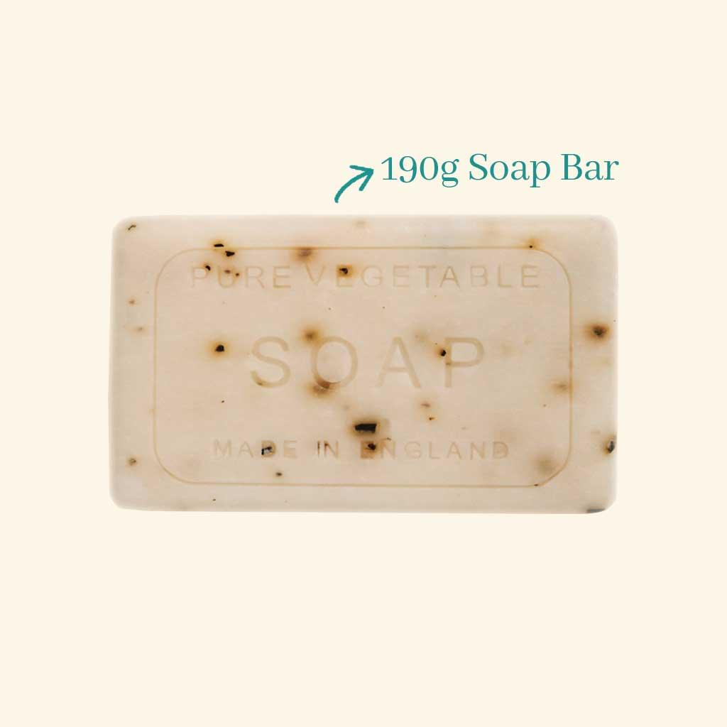 Ocean Seaweed Anniversary Soap - Distinctly Living 