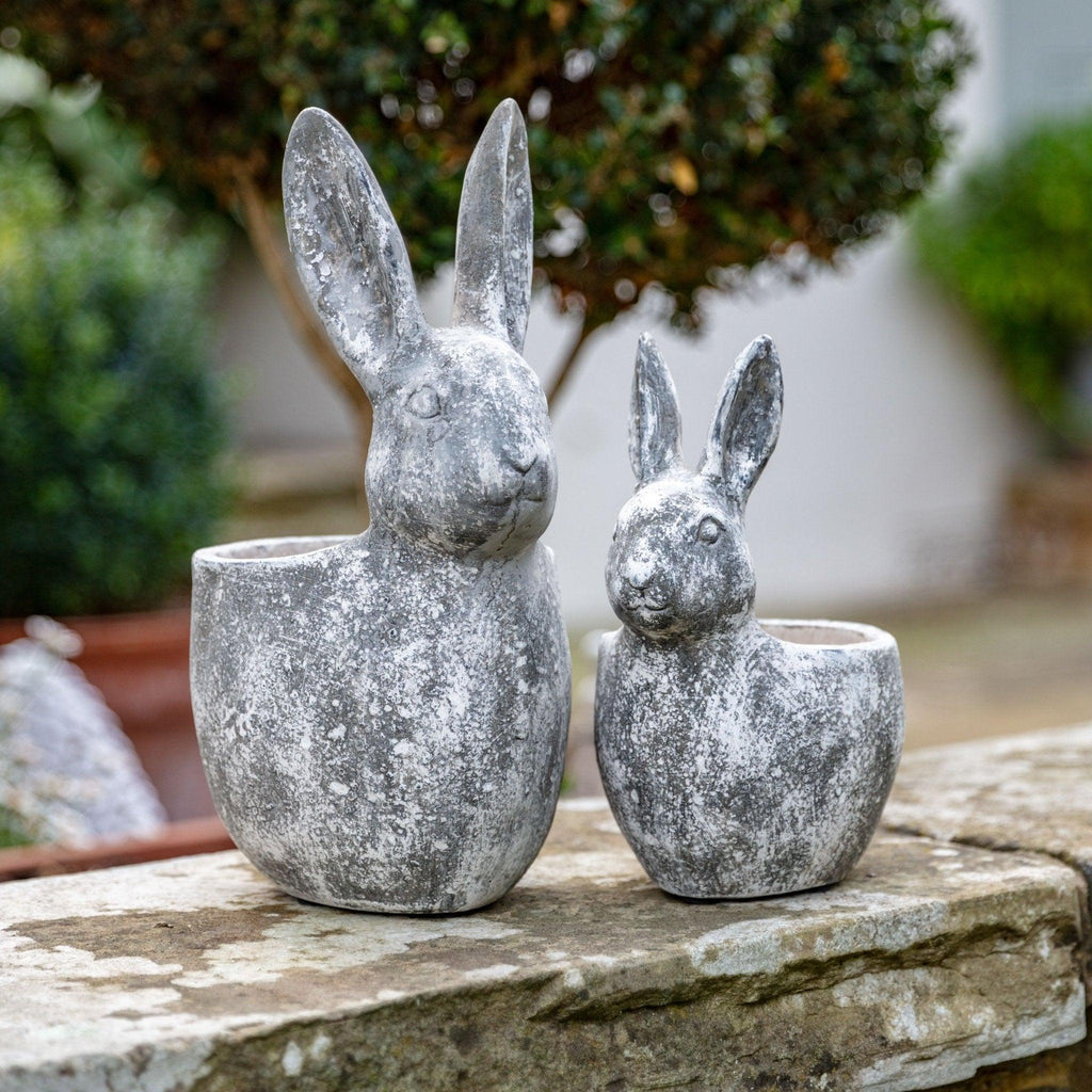 Rabbit Plant Pot - Distinctly Living 